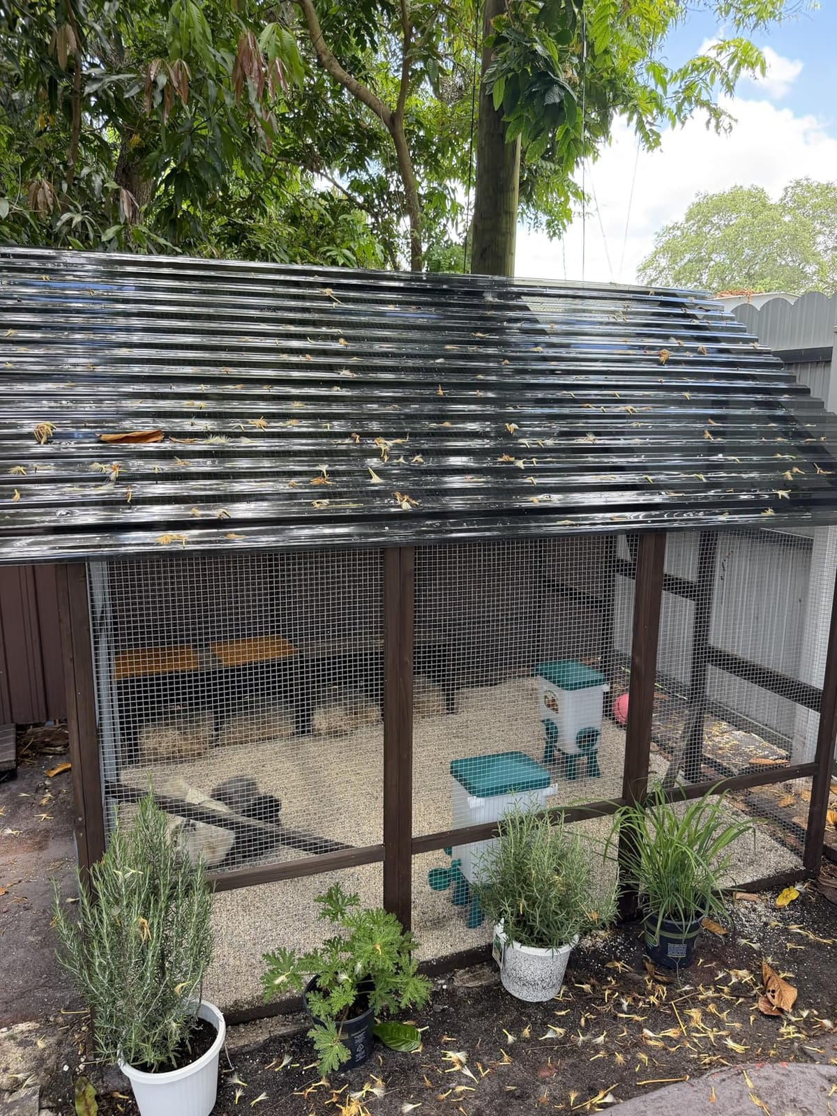 PawHut Large Wooden Chicken Coop for 8-10 Hens 83