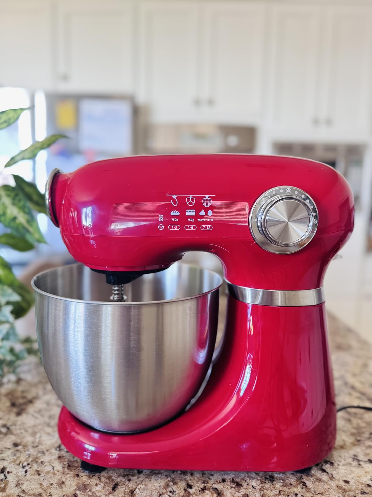 Electactic 5.3 Quart Electric Stand Mixer With 12 Speed, Low Noise | Tilt Head, Egg Whisk, Dough Hook, Flat Beater customer photo 1