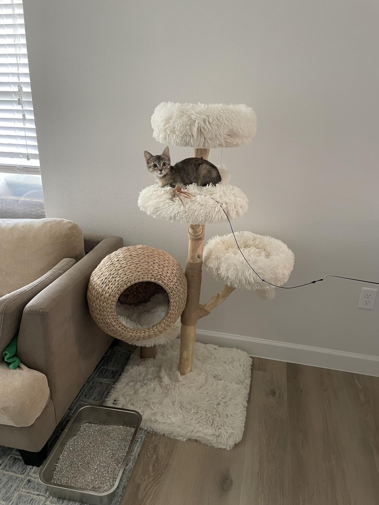 PETSITE 53-inch Wood Cat Tree, Multi-Level Modern Wooden Cat Tower with Scratching Posts, Woven Cat Condo, and Interactive Hanging Balls, Ideal for Indoor Cats and Kittens (White) customer photo 1