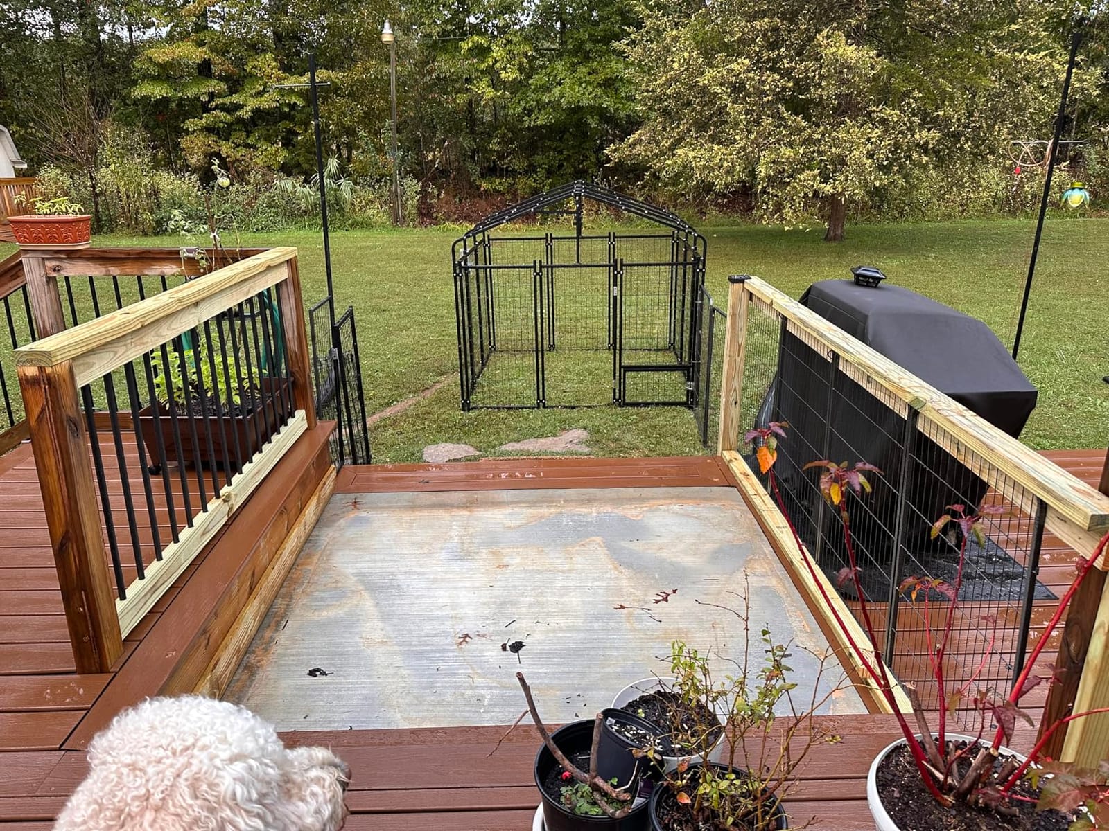 10X10FT Dog Kennel Outside Double Door Large Dog Kennel Outdoor with Feeding, Heavy Duty Outdoor Dog Crate Durable Dog Cage with Roof & Double Lock customer photo 2