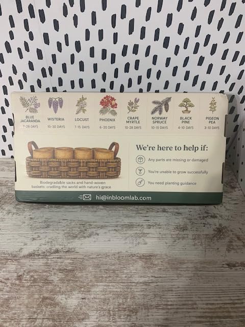 8 Pack Bonsai Tree Kit with Complete Tools, 8X Unique Seeds Bonzai Tree Live Kits, Complete Indoor Bonsai Starter Kit with Woven Basket, Perfect Garden Gift for Mom, Men, Women, Plant Lover customer photo 1