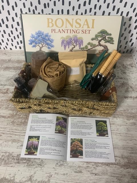 8 Pack Bonsai Tree Kit with Complete Tools, 8X Unique Seeds Bonzai Tree Live Kits, Complete Indoor Bonsai Starter Kit with Woven Basket, Perfect Garden Gift for Mom, Men, Women, Plant Lover customer photo 2