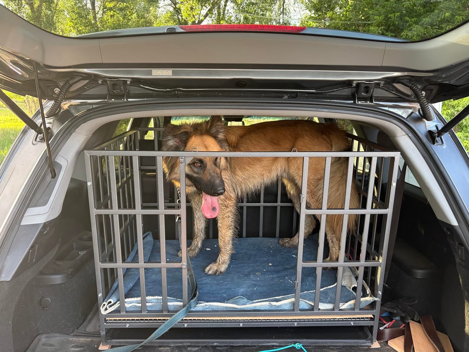 Hiwokk 42 Inch Heavy Duty Dog Crate, Indestructible Kennel | Heavy-gauge steel|Double doors, lockable wheels|Removable tray, easy-clean customer photo 1