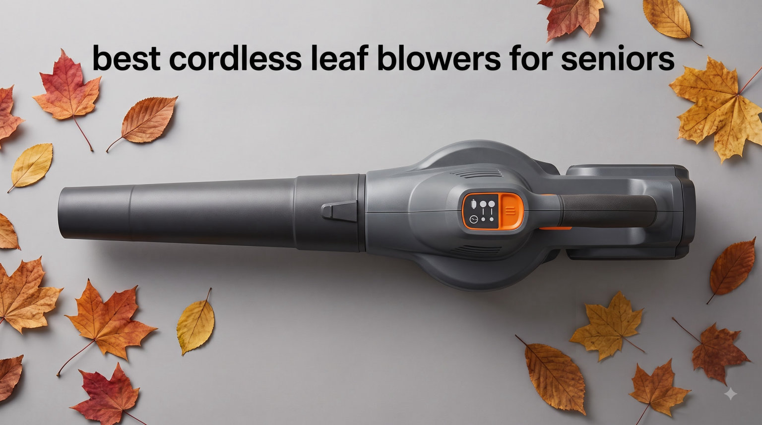 best cordless leaf blowers for seniors