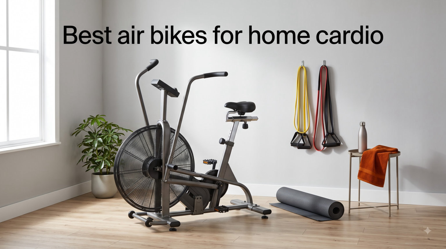 Best air bikes for home cardio