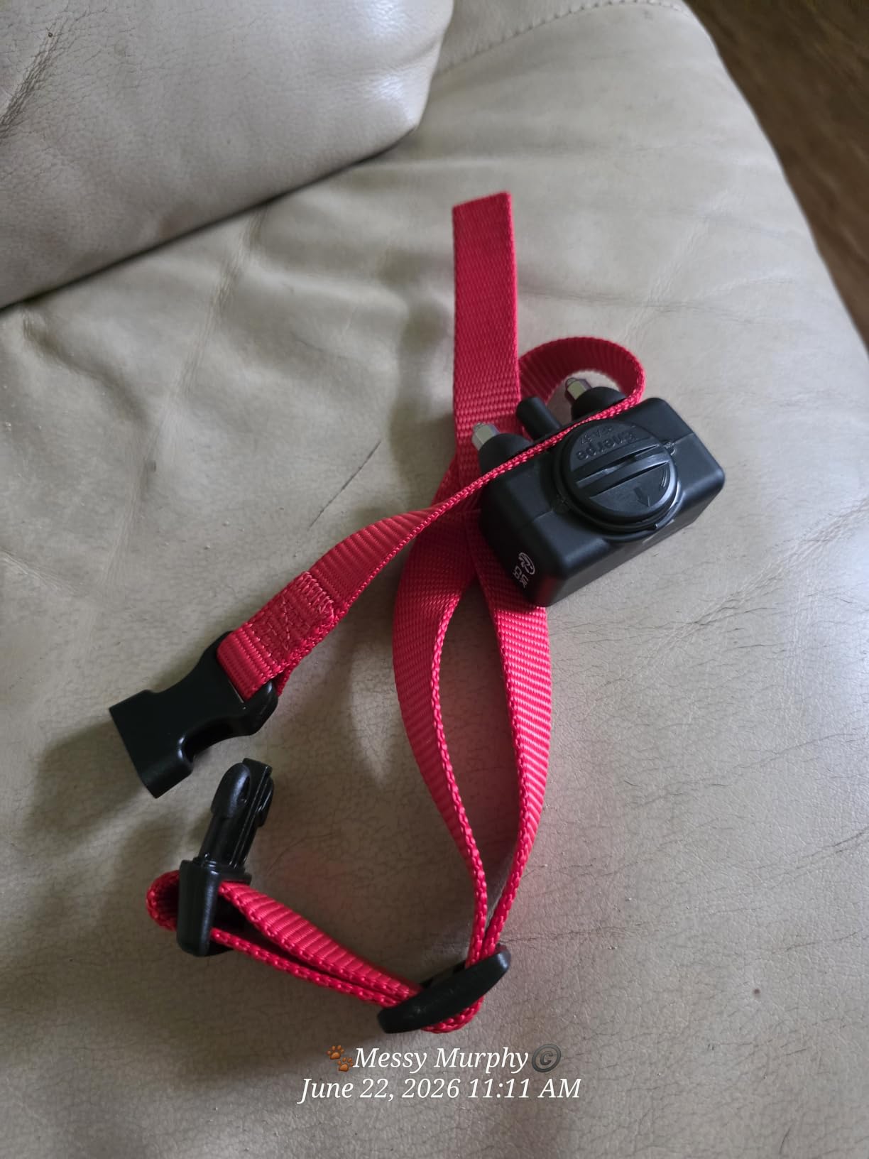 PetSafe Basic Bark Control Collar | Progressive Static Correction, Warning Beep, Includes Battery, Dogs 8 lb+, Neck 5-27 in customer photo 2