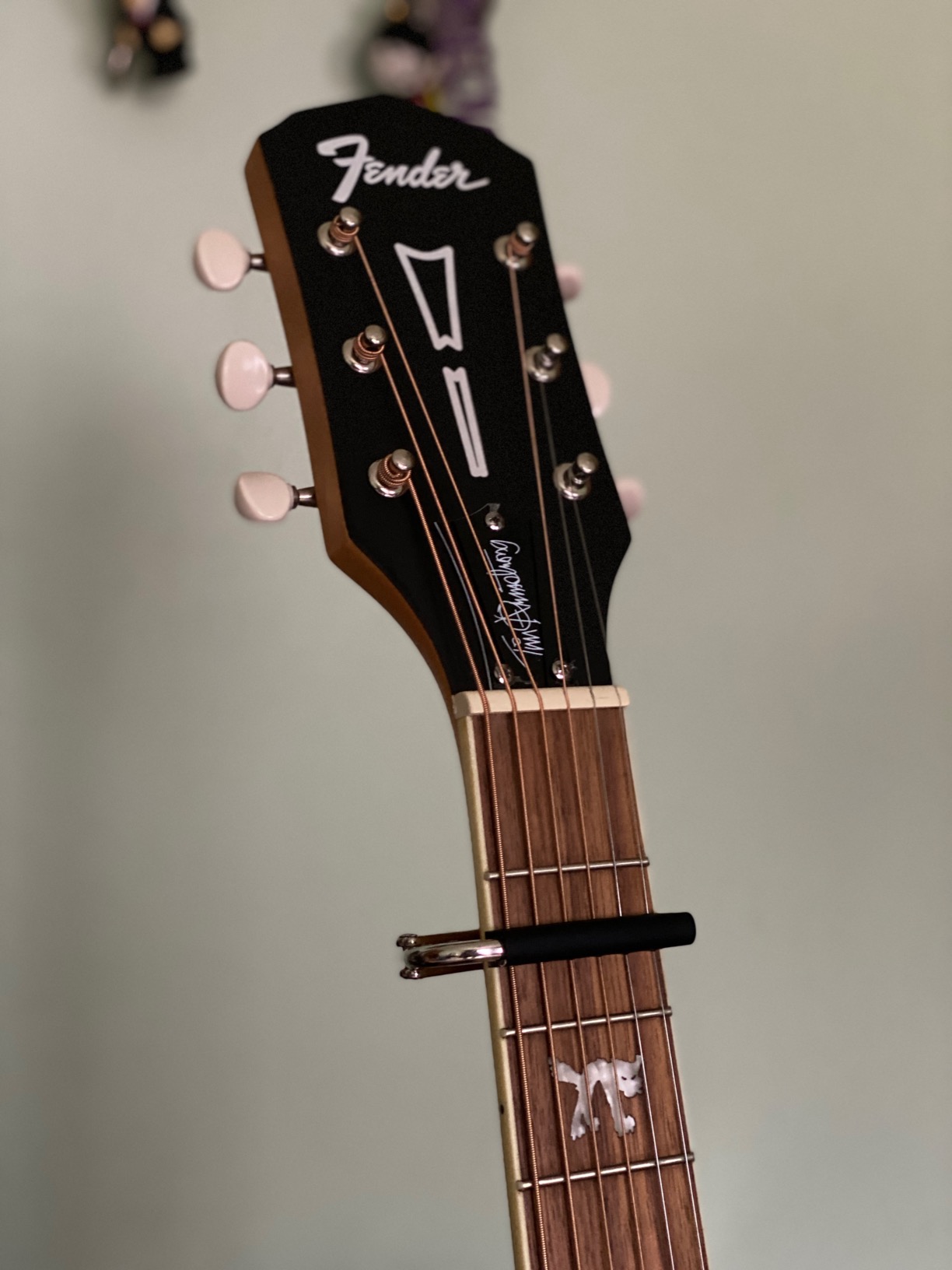 Shubb C1 Nickel Capo for Steel String Guitar customer photo 1