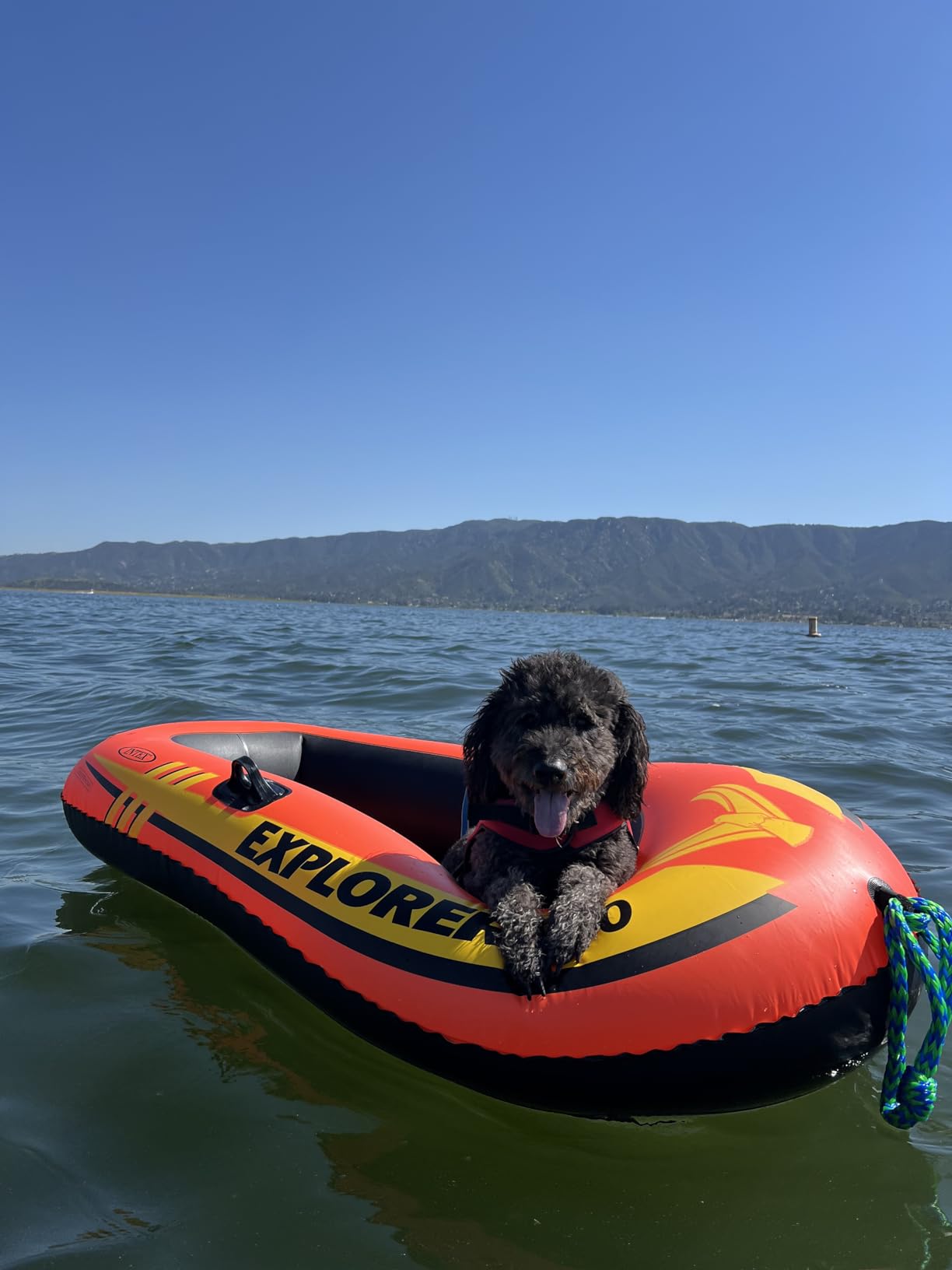 INTEX Explorer Inflatable Boat Series: Dual Air Chambers – Welded Oar Locks – Grab Handles – Bow Rope – Sporty Design customer photo 2