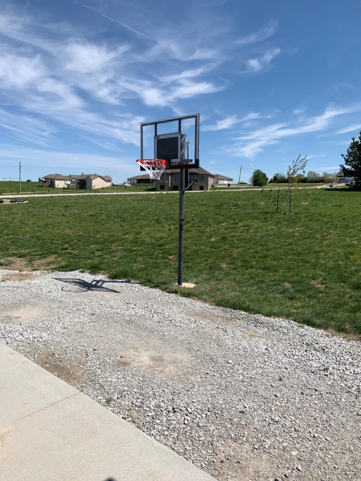 Lifetime Adjustable Basketball Hoop (54-Inch Polycarbonate) customer photo 2