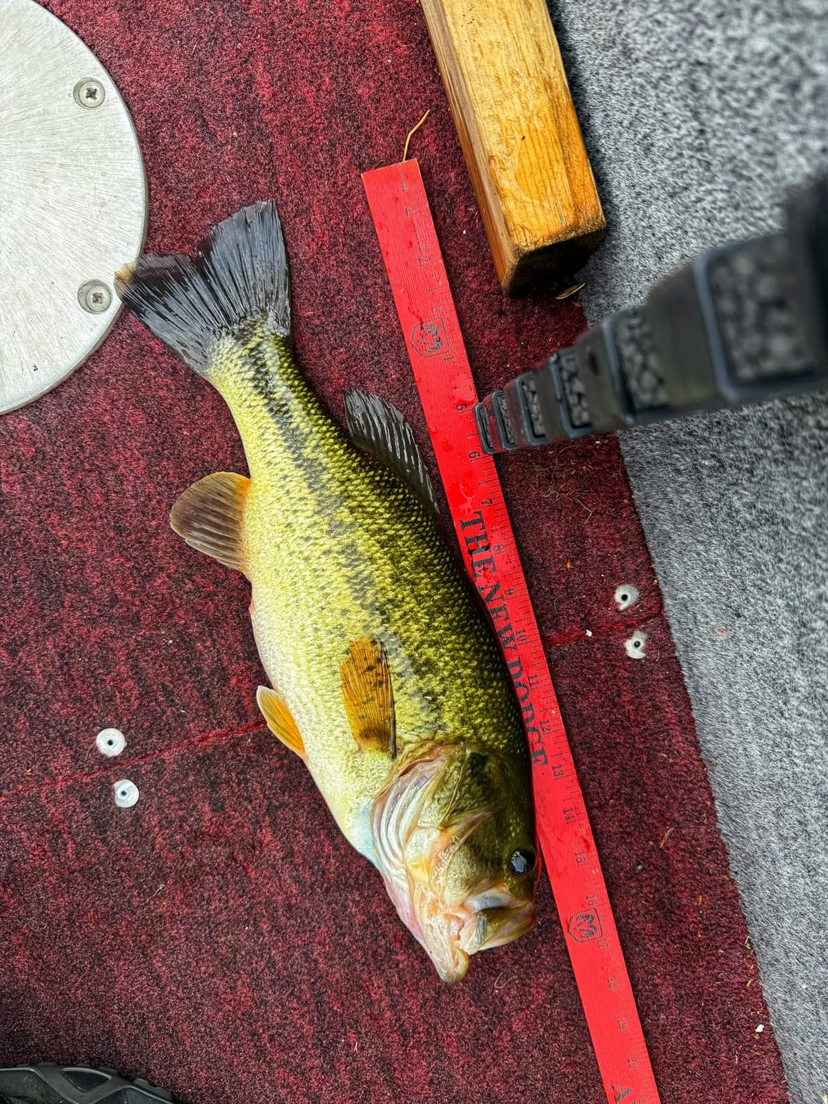 Berkley Trilene Big Game Monofilament Fishing Line customer photo 1