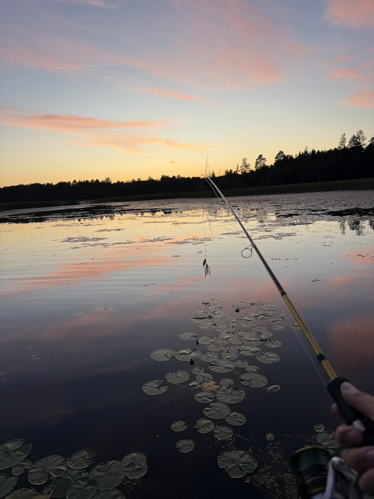 Berkley Trilene Big Game Monofilament Fishing Line customer photo 2