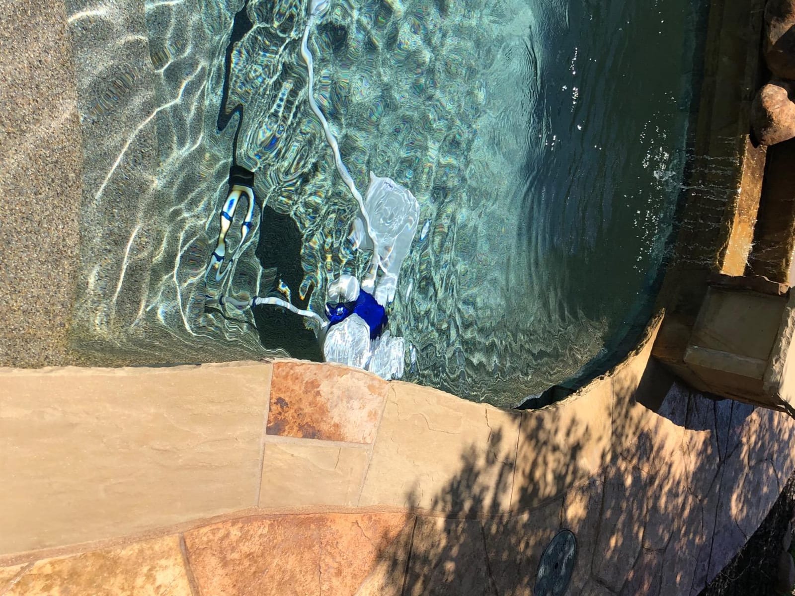 Polaris Vac-Sweep 380 Pressure Side Pool Cleaner, Triple Jet Powered customer photo 2