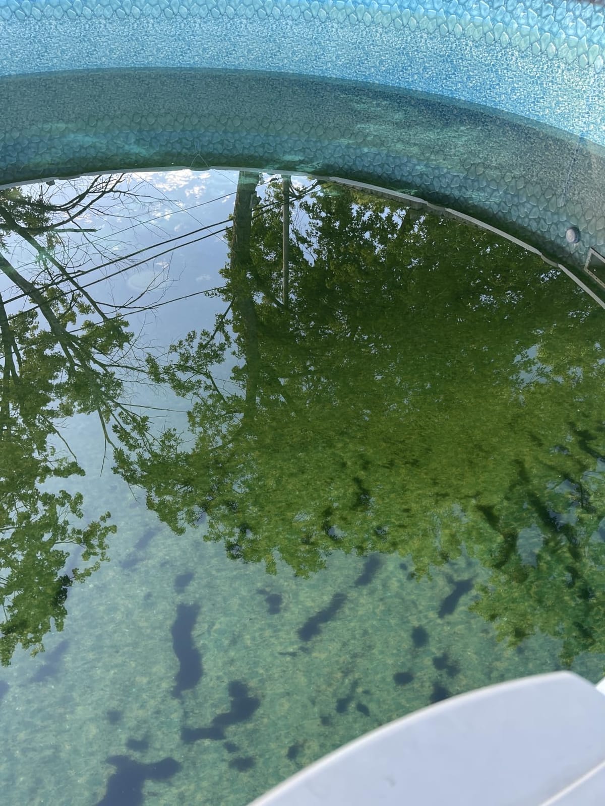 In The Swim 24 Foot Round Pool Value Winter Cover for Above Ground Pools customer photo 1