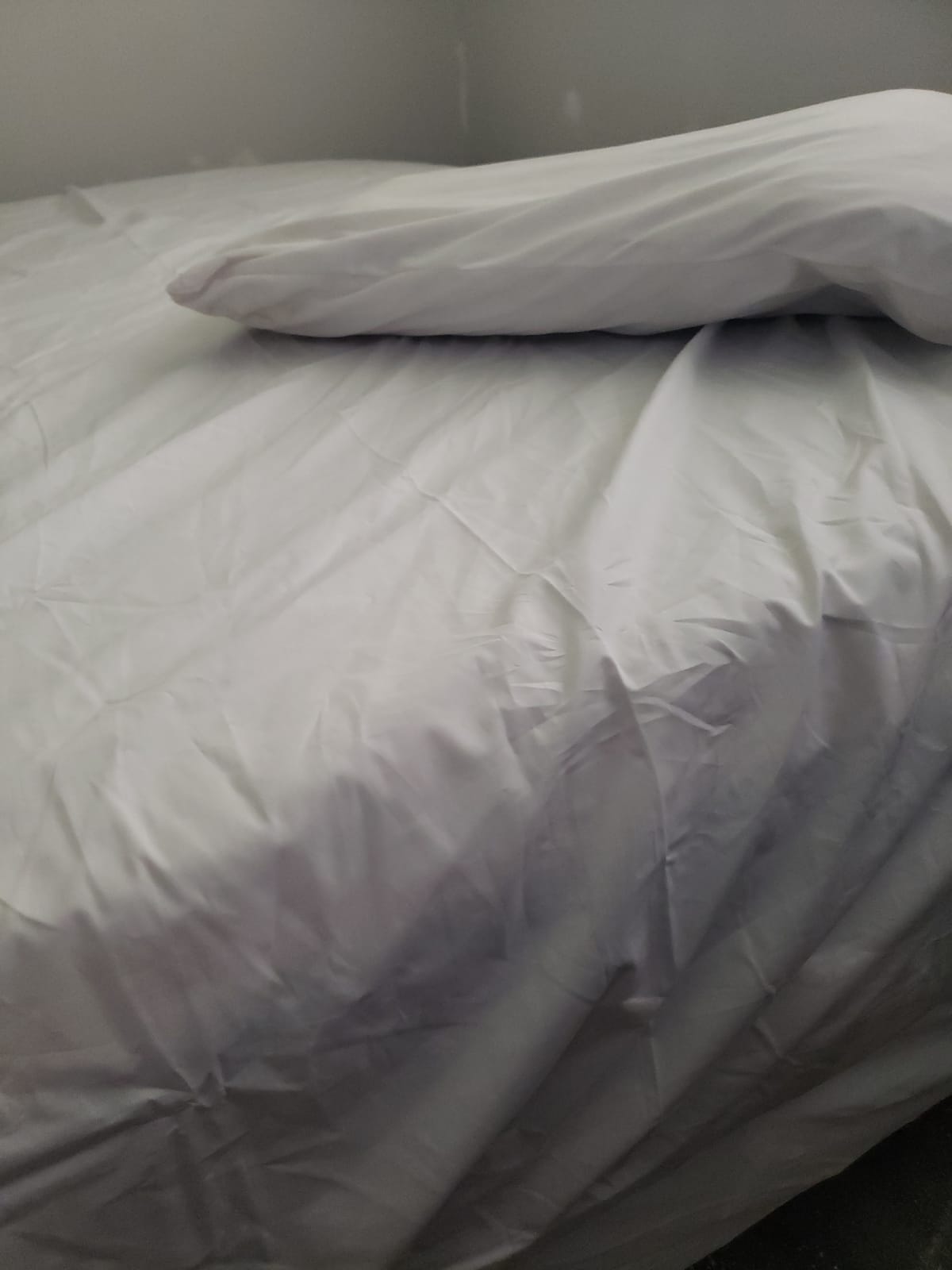 National Allergy 100% Cotton Zippered Mattress Encasement Queen 60x80x9 customer photo 1