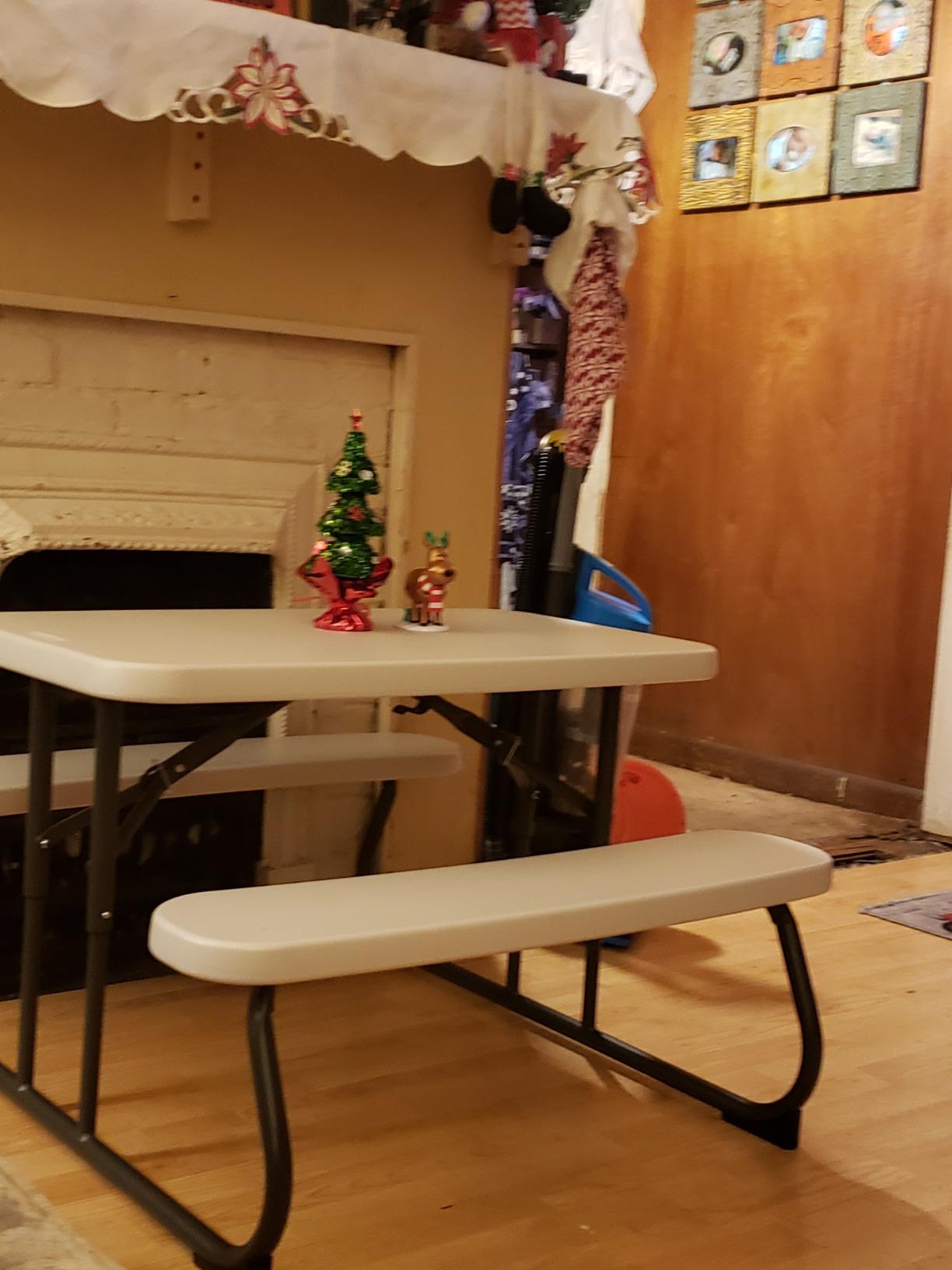 LIFETIME Kids Picnic Table, Foldable Outdoor Furniture customer photo 1