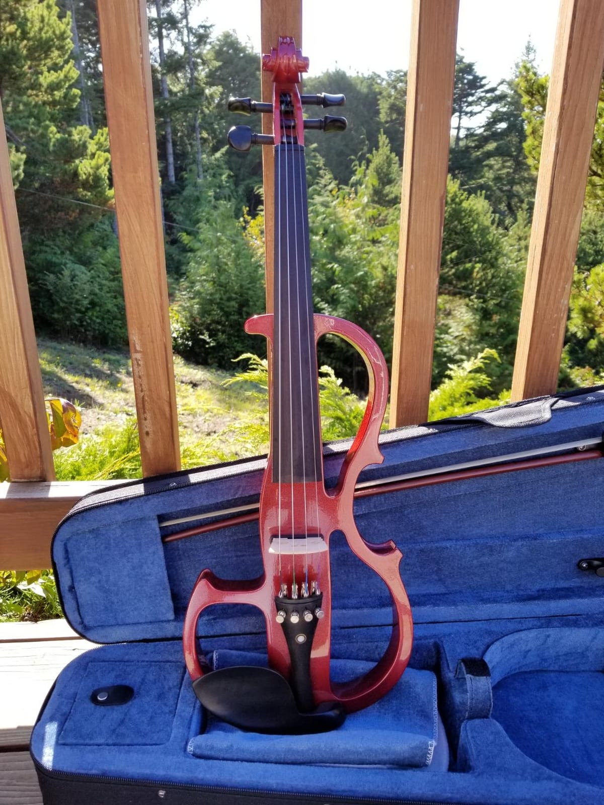 Cecilio Silent Electric Solid Wood Violin Kit with Ebony Fittings, Full Size 4/4 Electric Violin for Beginner and Professional Musicians, Black Metallic customer photo 1