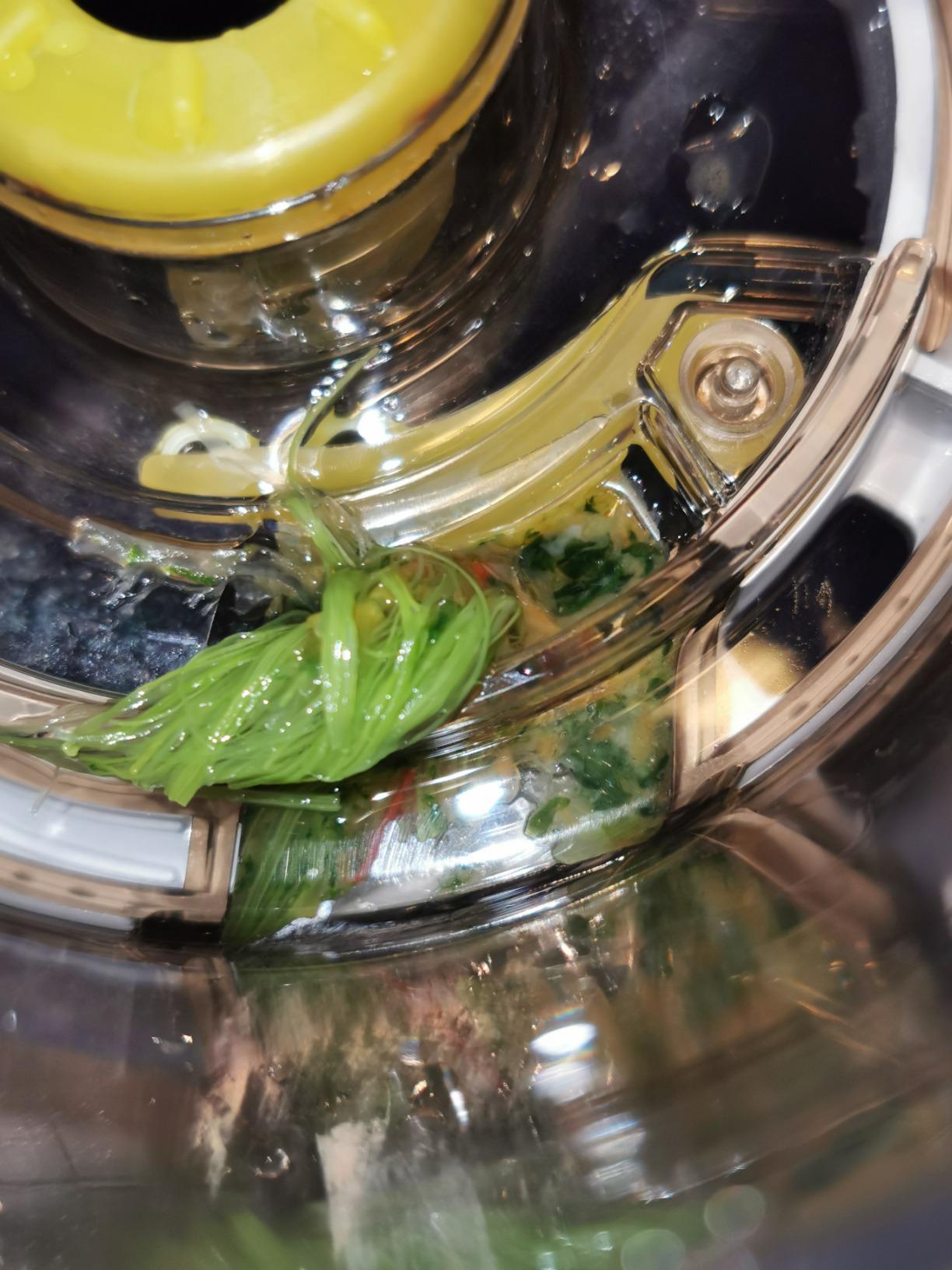 Omega VRT350 Vertical Low Speed Juicer, Silver customer photo 1