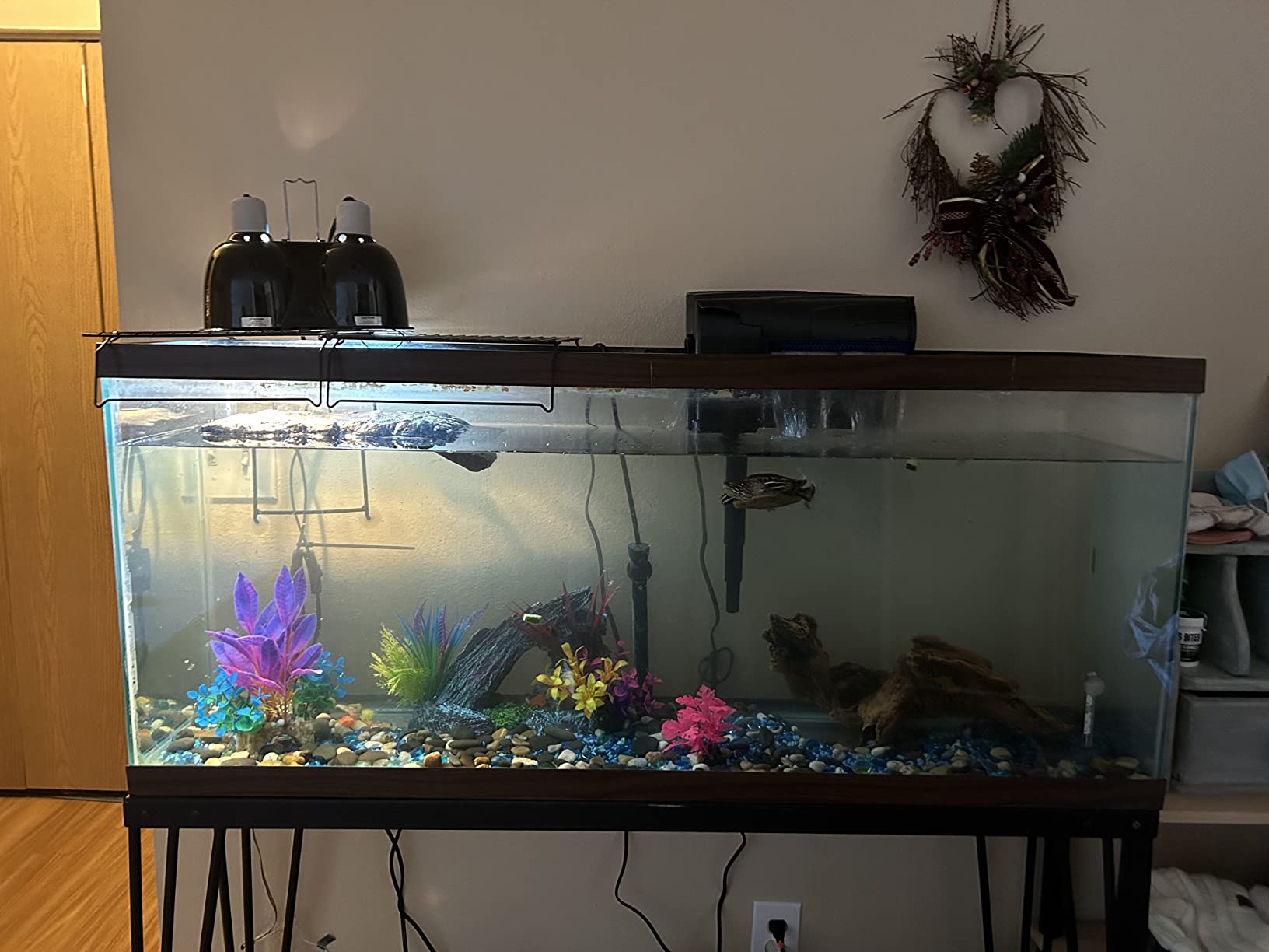 Aqueon QuietFlow 75 LED PRO Aquarium Fish Tank Power Filter, 90 Gal customer photo 1