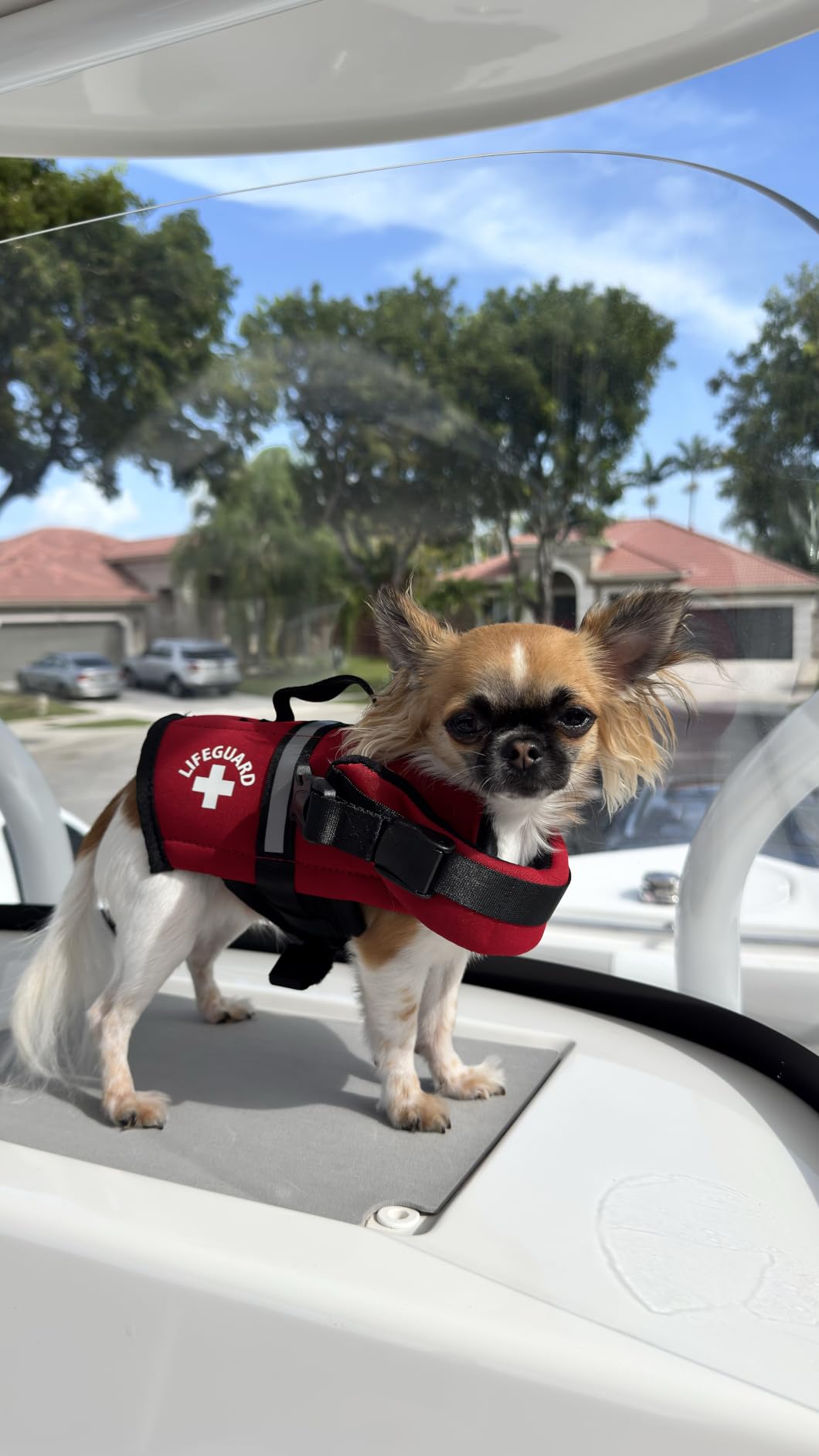 Dog Life Jacket - Swimming Vest for Dogs, Adjustable, Reflective, Comfortable, Multiple Colors, Patterns, XX-Small to Extra Large Dog Swim Vest with Handle (Red, Large) customer photo 1