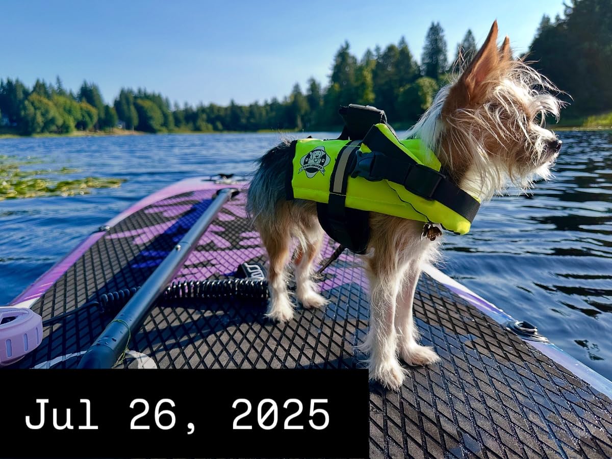 Dog Life Jacket - Swimming Vest for Dogs, Adjustable, Reflective, Comfortable, Multiple Colors, Patterns, XX-Small to Extra Large Dog Swim Vest with Handle (Red, Large) customer photo 2