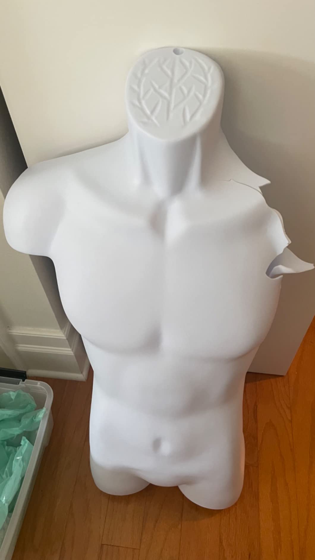 SSWBasics Male Molded Shatterproof White Shapely Torso Form with Hook customer photo 1