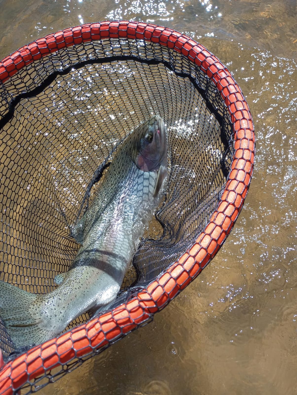 Inc. Generation 2 Floating Landing Net, Non-Snag for Wade, Fly & Kayak Fishing customer photo 1