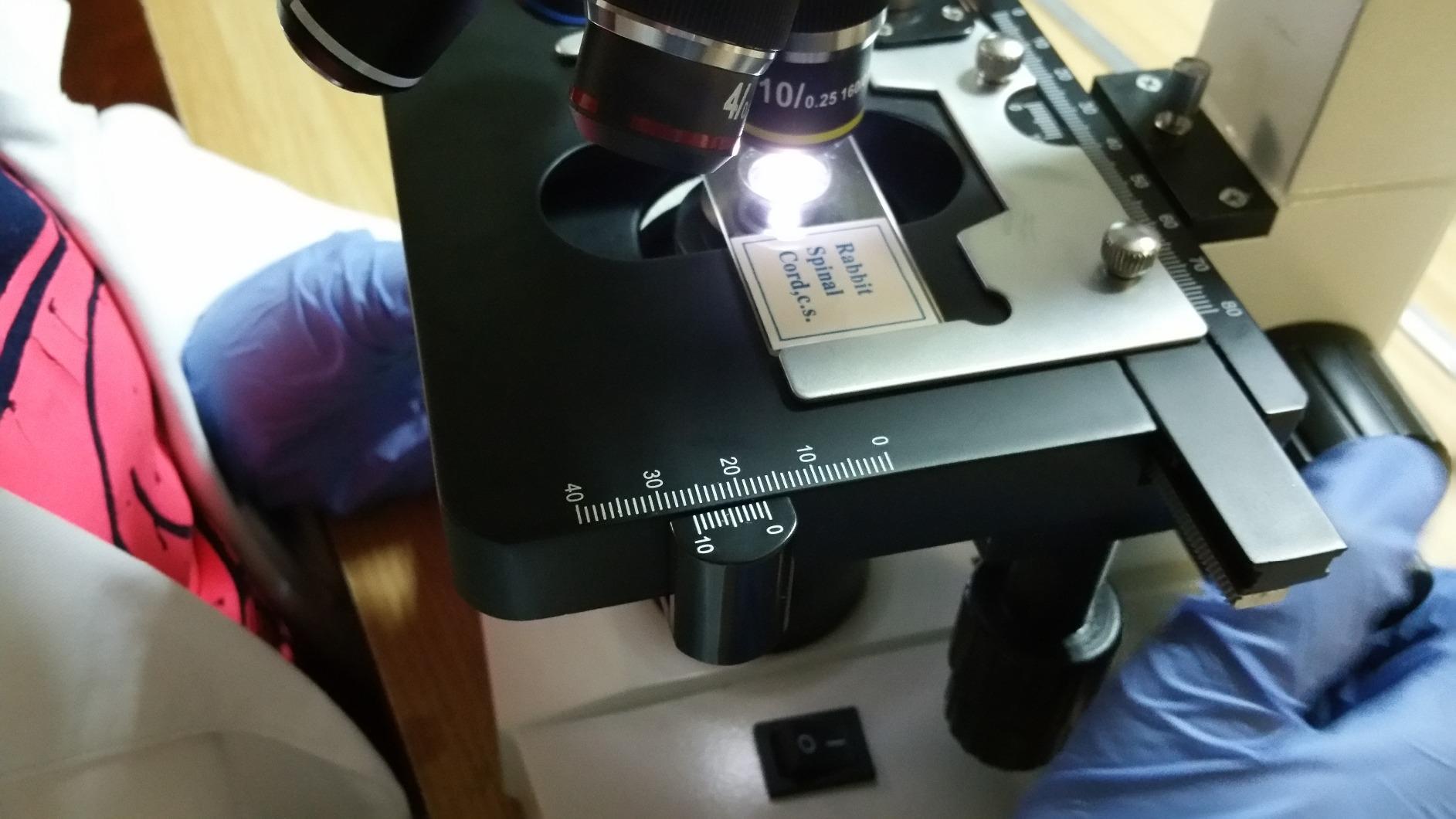 OMAX MD82ES10 2000X Digital LED Compound Microscope with Built-in 1.3MP customer photo 2