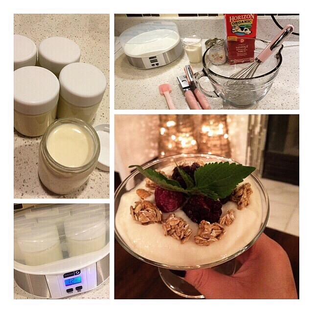 Dash DSY007CM Yogurt Maker Machine With Steel Base Digital Display Auto Timer, Stainless customer photo 1