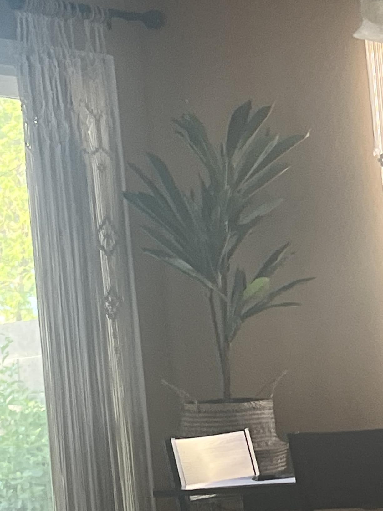 Nearly Natural 48 in Artificial Dracaena Real Touch Plant with Pot customer photo 1