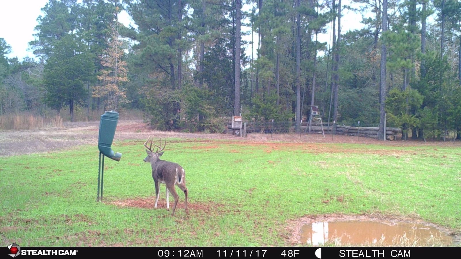 REDNEK Redneck Outdoors T-Post Gravity Feeder customer photo 1