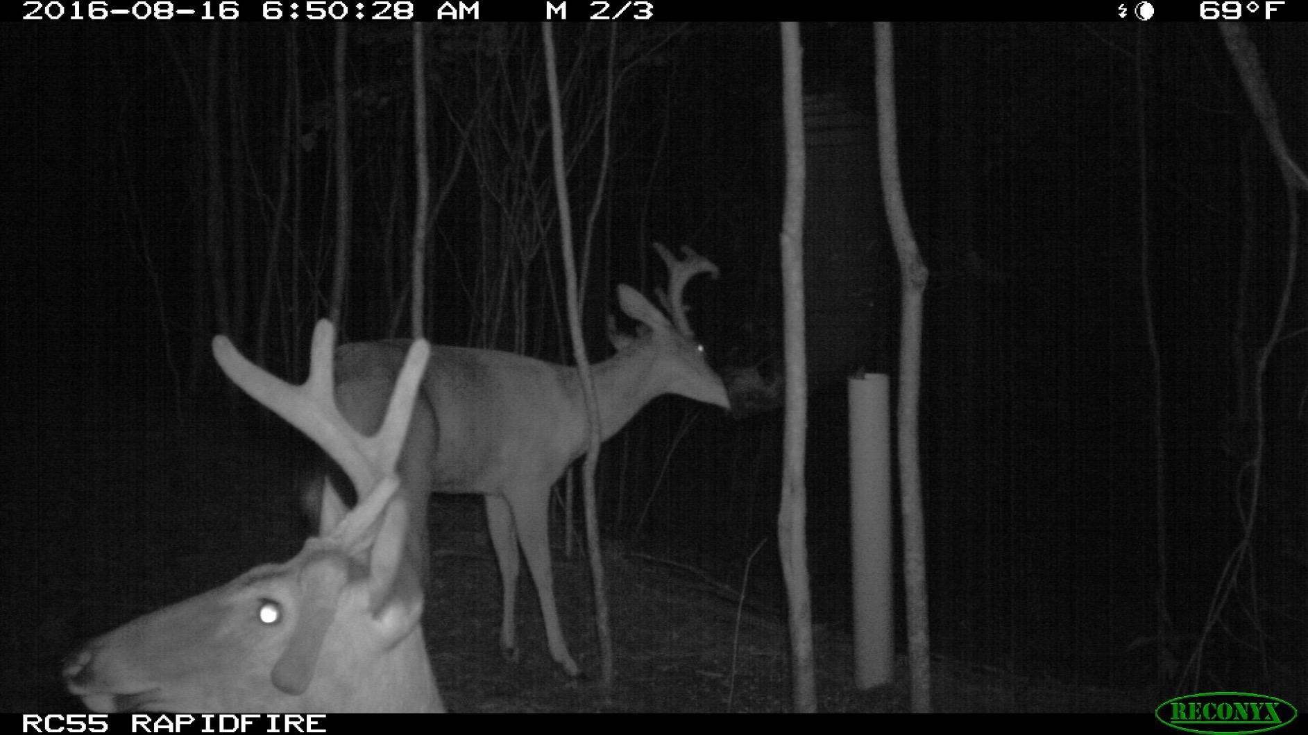 REDNEK Redneck Outdoors T-Post Gravity Feeder customer photo 2