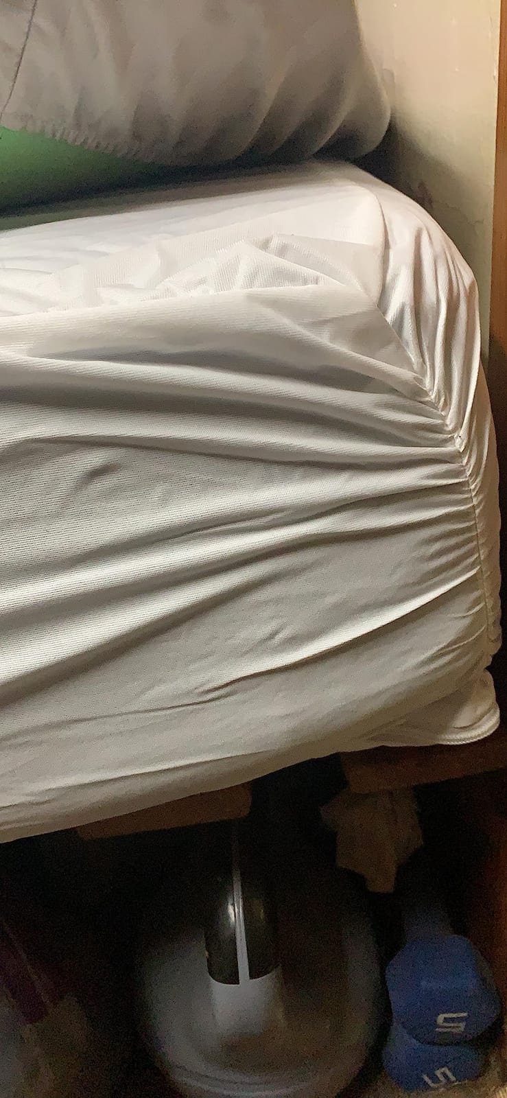 AllerEase Waterproof Allergy Defense Zippered Mattress Protector, Twin customer photo 1