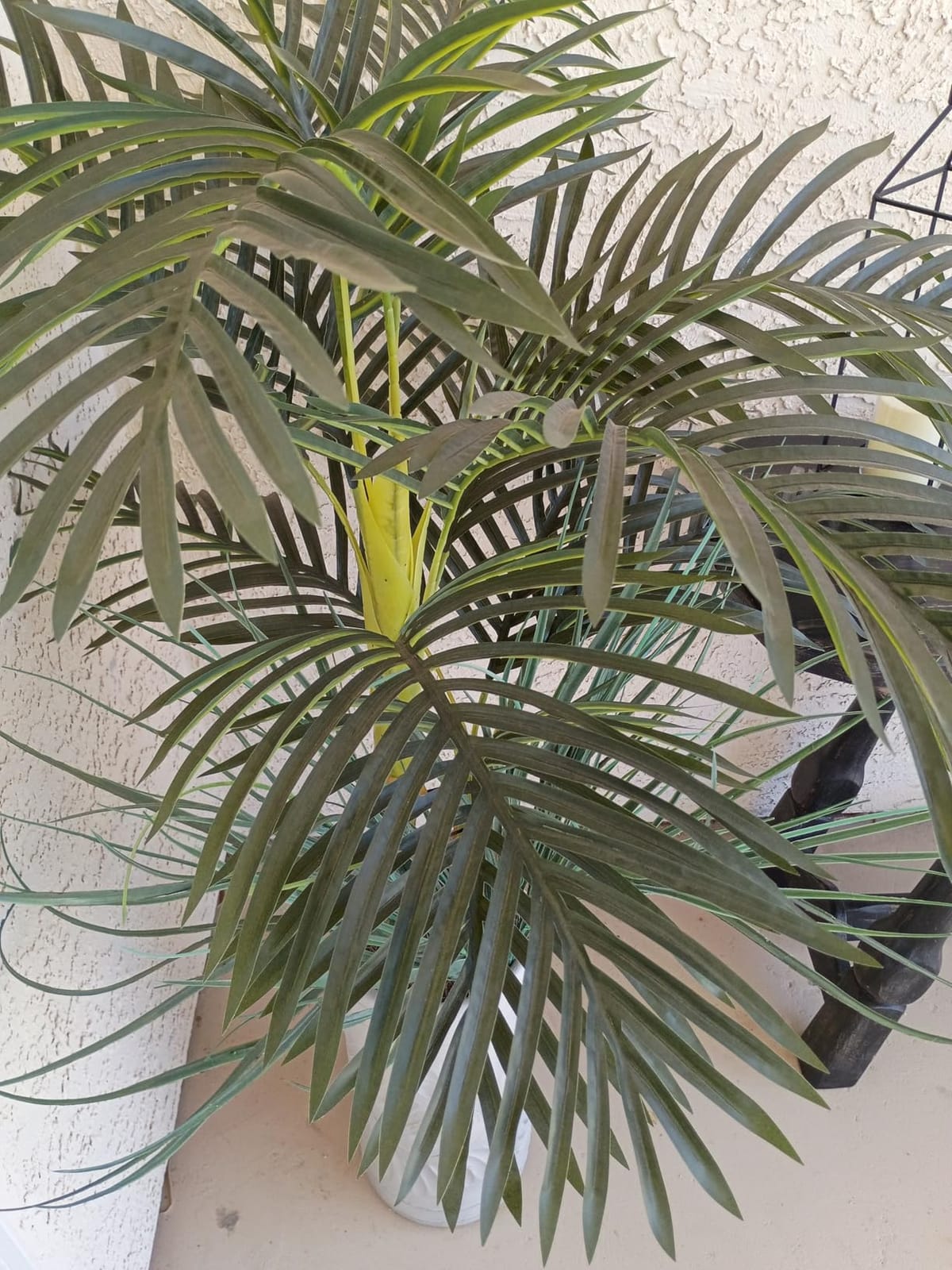 Nearly Natural 4 ft Artificial Golden Cane Palm Tree with Nursery Pot customer photo 2
