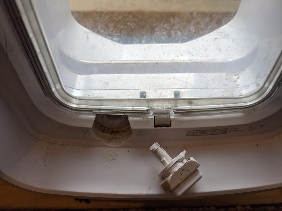 SureFlap DualScan Microchip Cat Door - Door Opening is 4 3/4