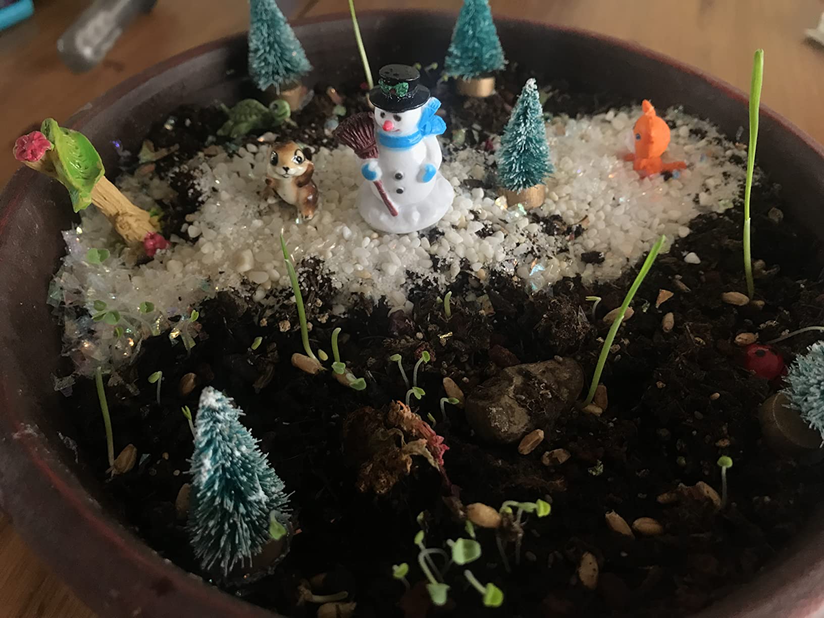 Creativity for Kids Grow 'N Glow Terrarium Kit - Educational Science Kits | Screen Free Summer Fun Activities | Gifts for Boys and Girls | Craft and STEM Projects (Ages 6+) customer photo 2