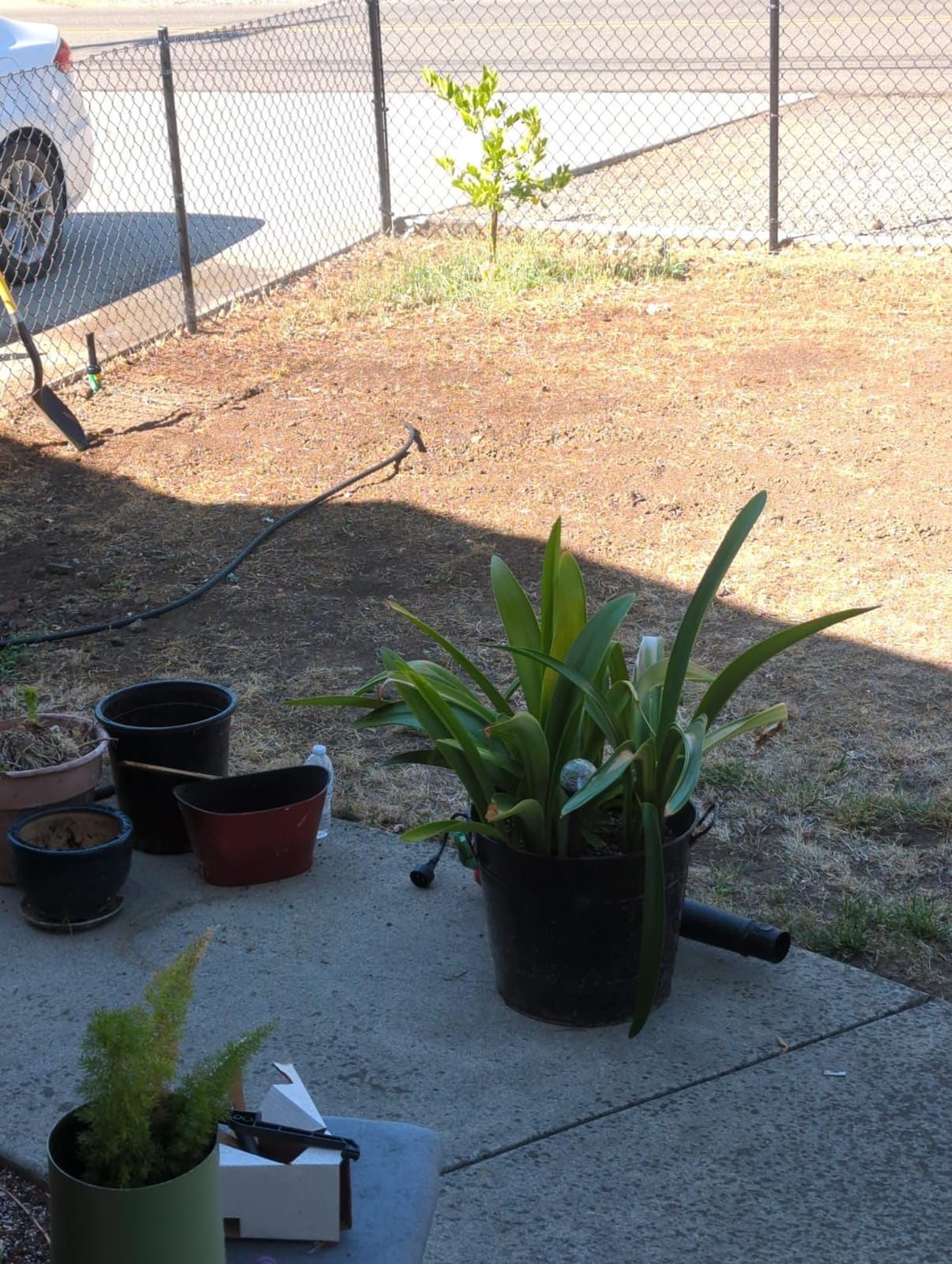 Rain Bird 32ETI DIY Install In-Ground Automatic Sprinkler Kit customer photo 1