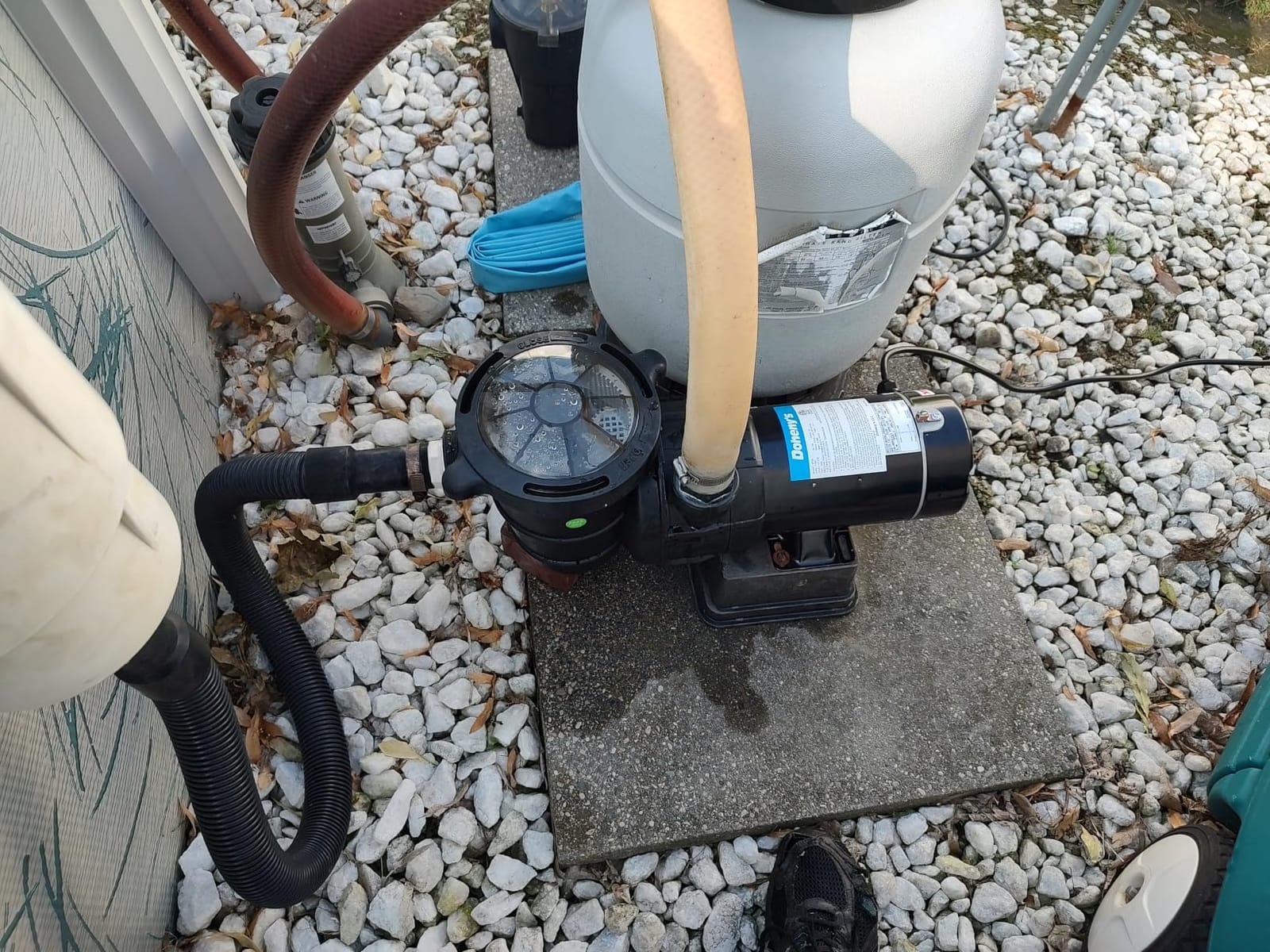 Doheny's 1 HP Above Ground Swimming Pool Pump, 115V, 75 GPM customer photo 2