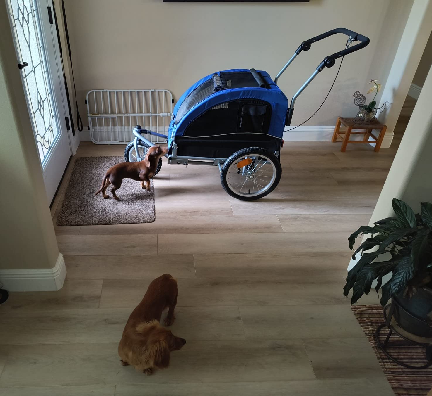 Booyah Medium Dog Stroller & Pet Bike Trailer with Suspension - Black customer photo 1