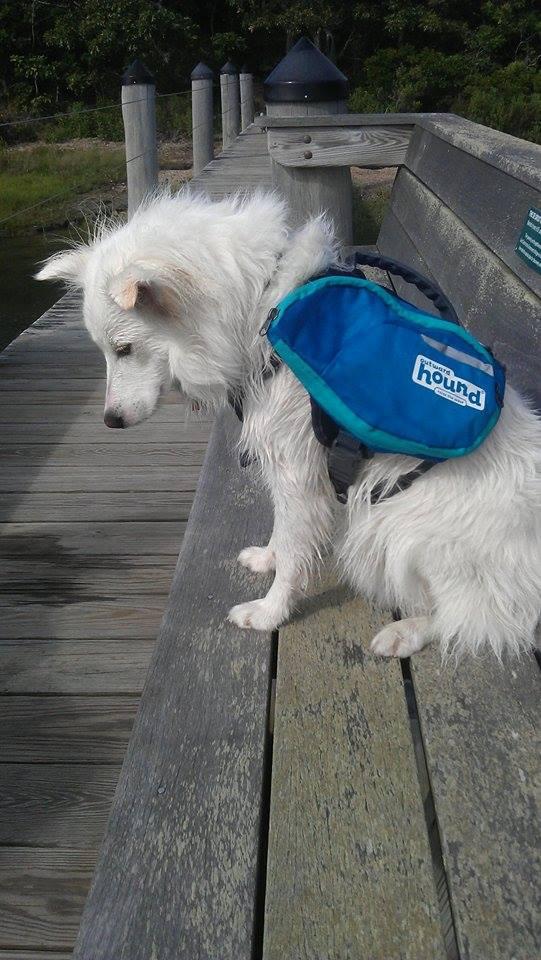 Kyjen Outward Hound The Quick Release Dog BackPack (Assorted, Medium) customer photo 2