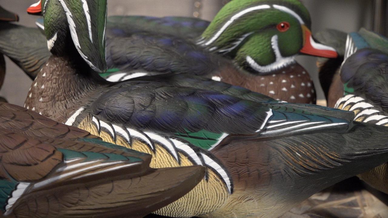 Avian X Topflight Realistic Floating Wood Duck Decoys with Weight-Forward Swim Keel, Set of 6 (Multicolor) customer photo 1