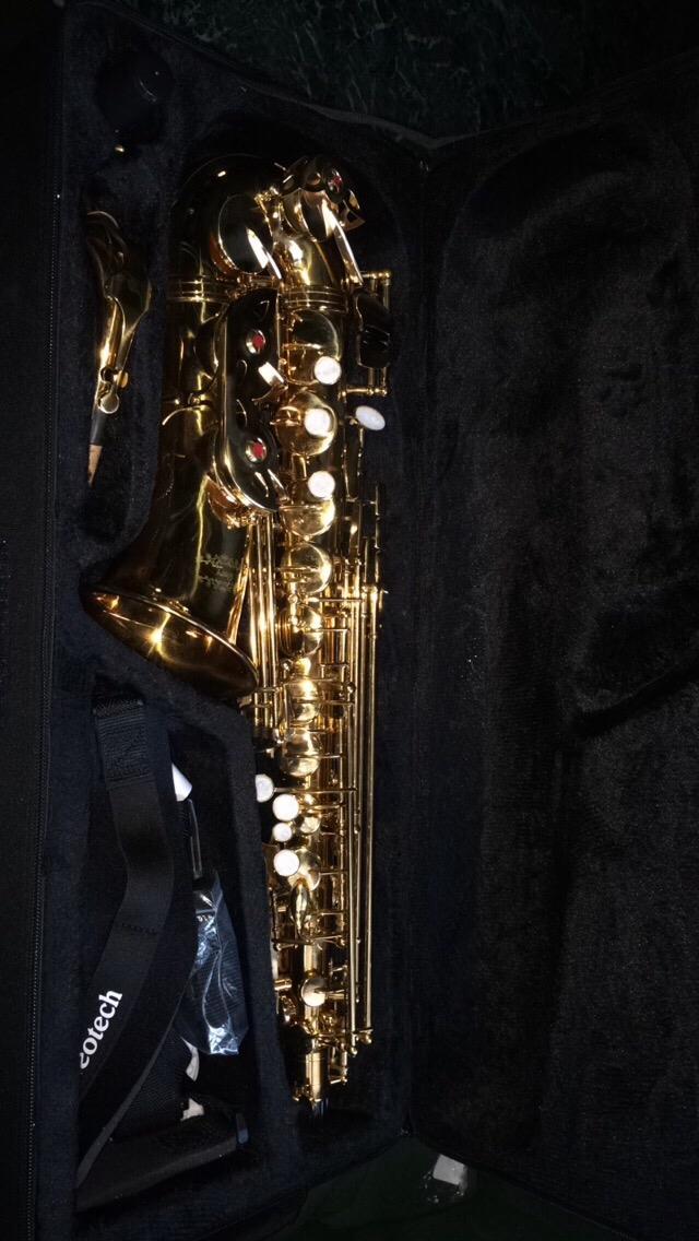 Glory Gold Laquer E Flat Alto Saxophone with 11reeds,8 Pads cushions,case,carekit customer photo 1
