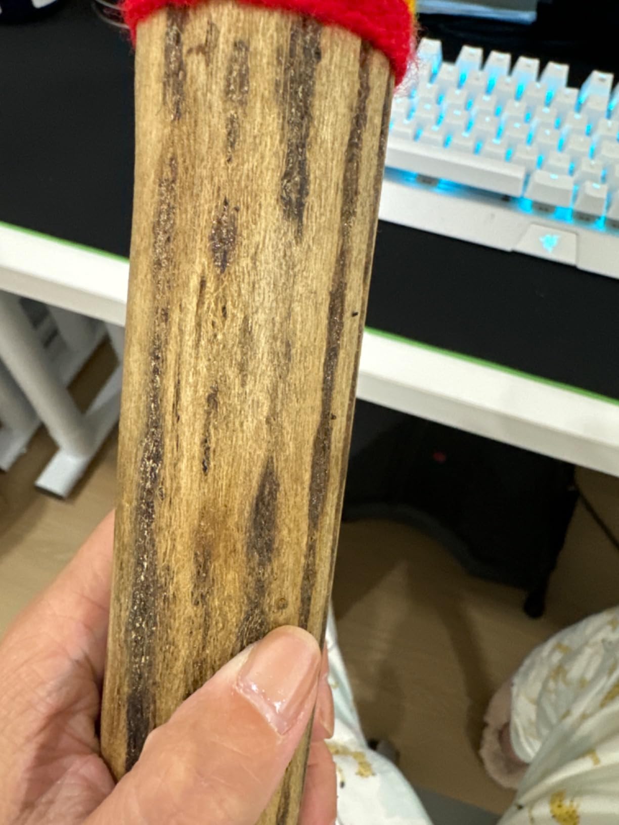 Africa Heartwood Project 15