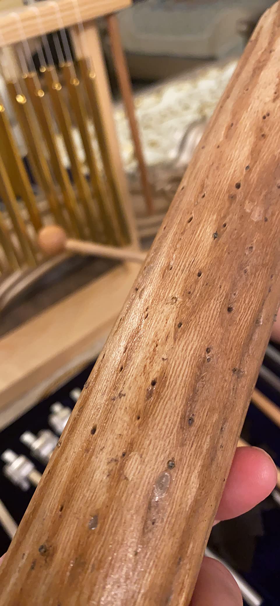 Africa Heartwood Project 15