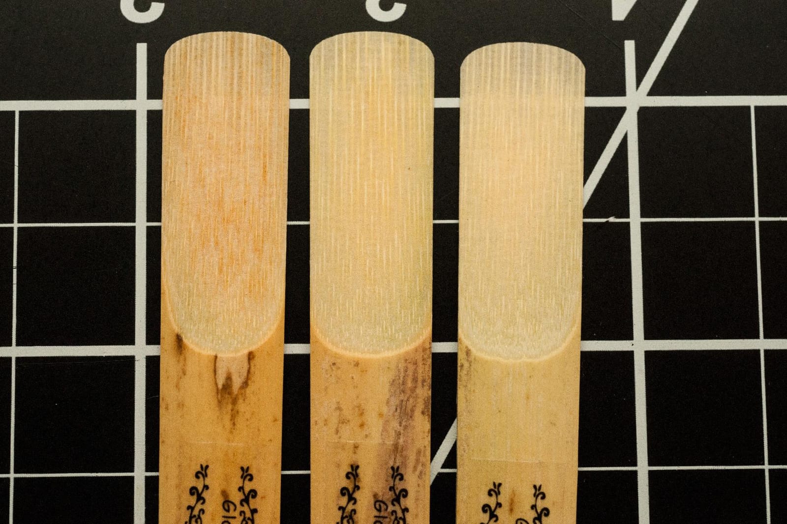 Glory Reeds Clarinet Reed Size# 2 customer photo 2