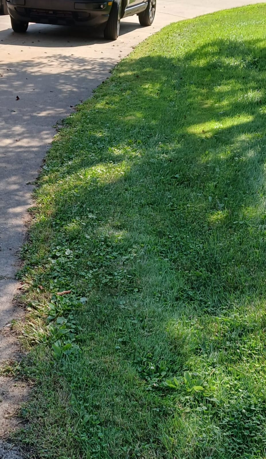 WORX Electric Lawn Edger, 12 Amp 7.5