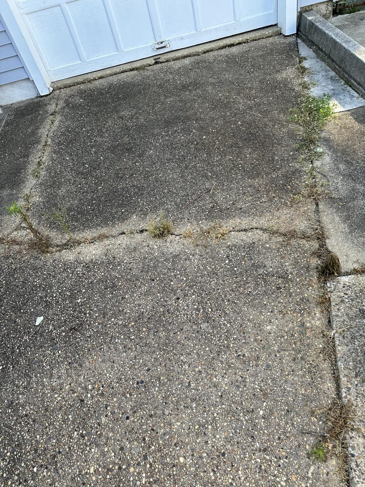Spectracide Weed & Grass Killer with AccuShot Power Sprayer, 1.33 Gal | Kills Broadleaf Weeds & Grasses Down To The Root, Use on Driveways, Walkways, Patios & More, Visible Results in 3 Hours customer photo 2