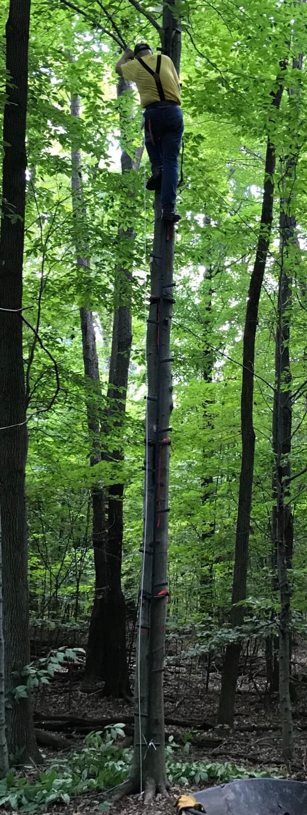 Guide Gear Climbing Stick Ladder for Tree Stands, Climbing Equipment for Deer Hunting, 25’ customer photo 1