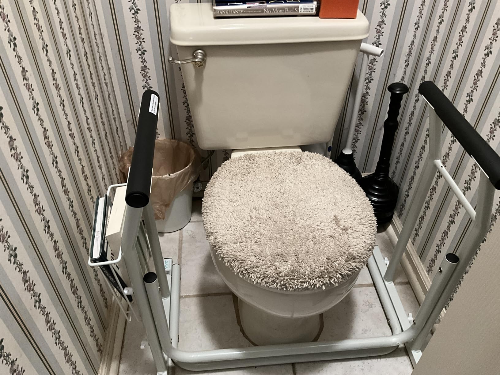 Vive Toilet Safety Rail with Arms - 300LBS Support Frame with Handles customer photo 2