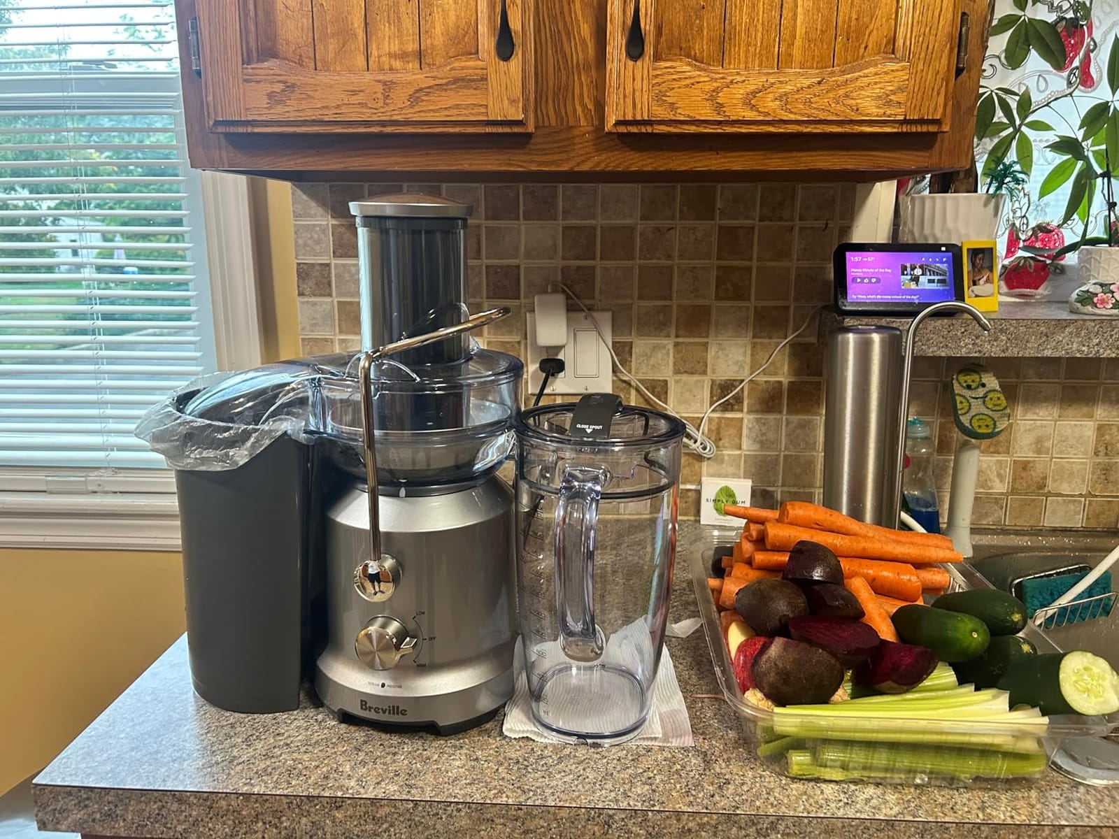 Breville BJE430SIL Juice Fountain Cold, Silver customer photo 2