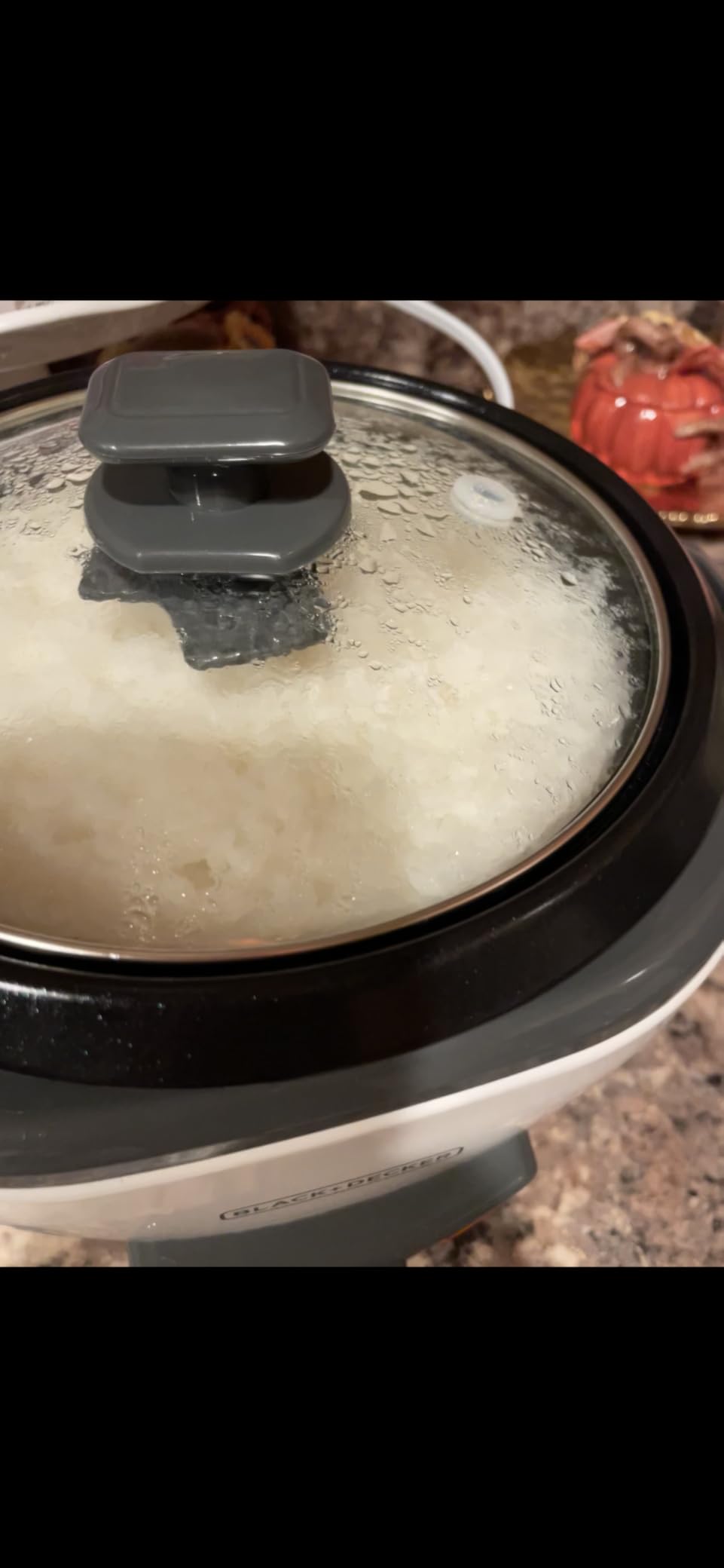 BLACK+DECKER 6-Cup Rice Cooker with Steaming Basket customer photo 1